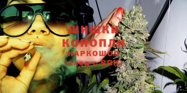 spice Дмитров