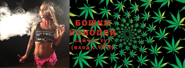 spice Дмитров