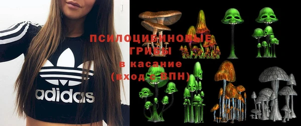 молекула духа Дмитровск