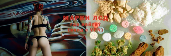spice Дмитров