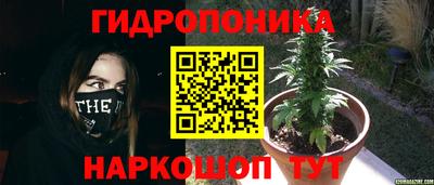 СК Краснодар