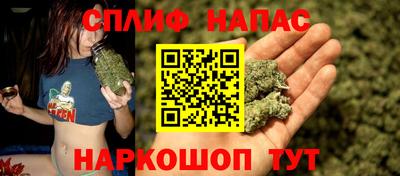 СК Краснодар