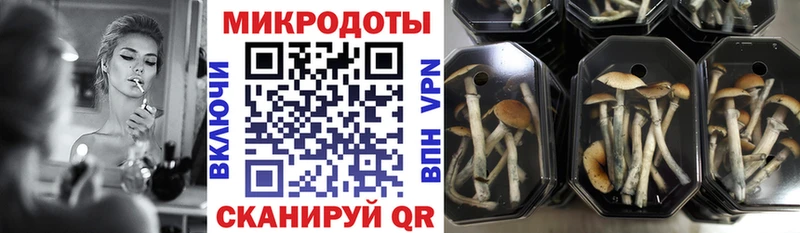 магазин  наркотиков  Мценск  Галлюциногенные грибы прущие грибы 