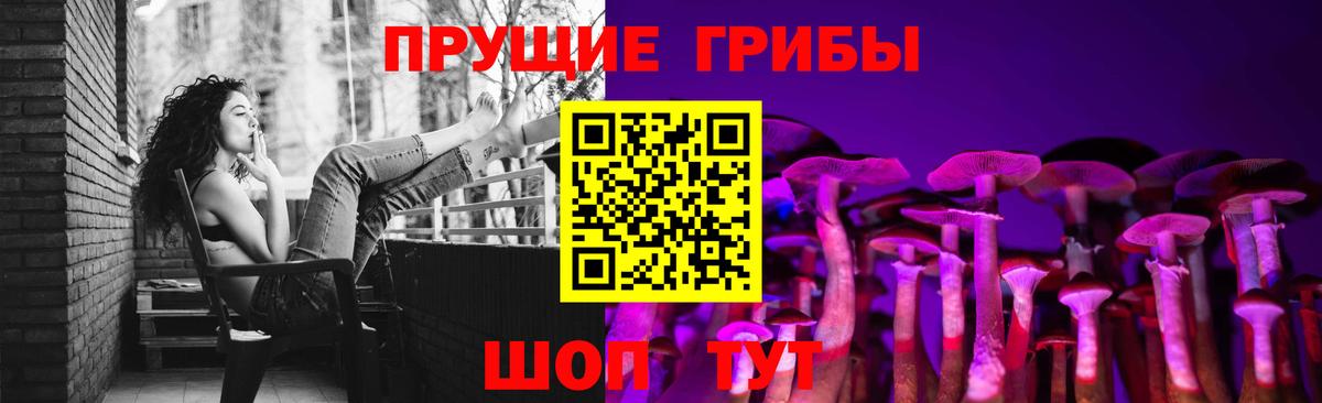 Галлюциногенные грибы Cubensis  Вход с VPN  Галлюциногенные грибы Magic Shrooms  Мценск 